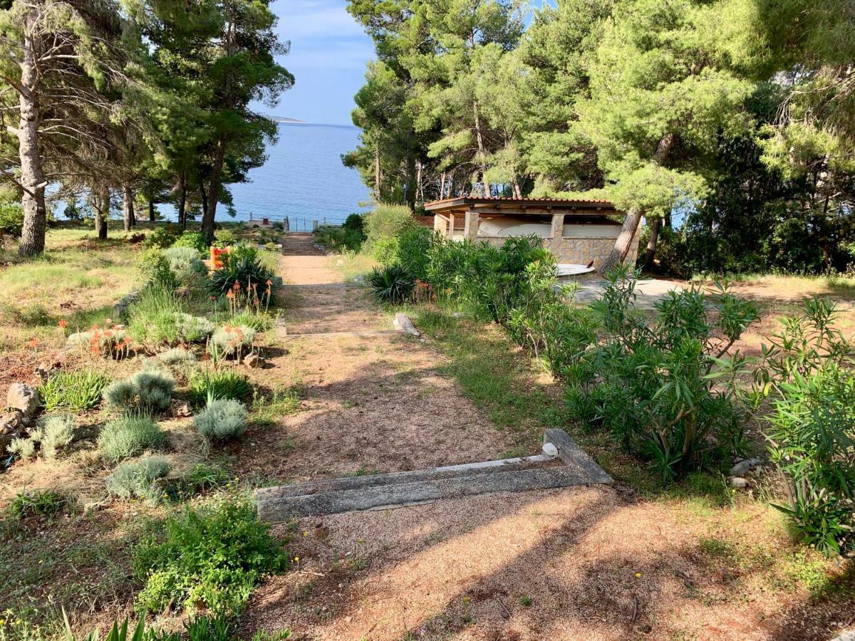 Apartments Nautic Zavala Εξωτερικό φωτογραφία